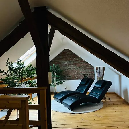 Oak One - Modern
